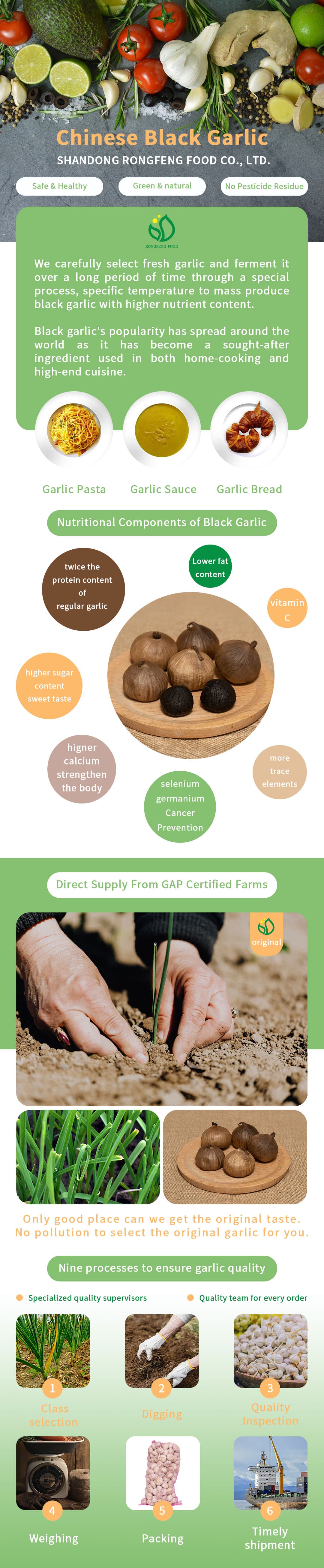 Black garlic4.jpg